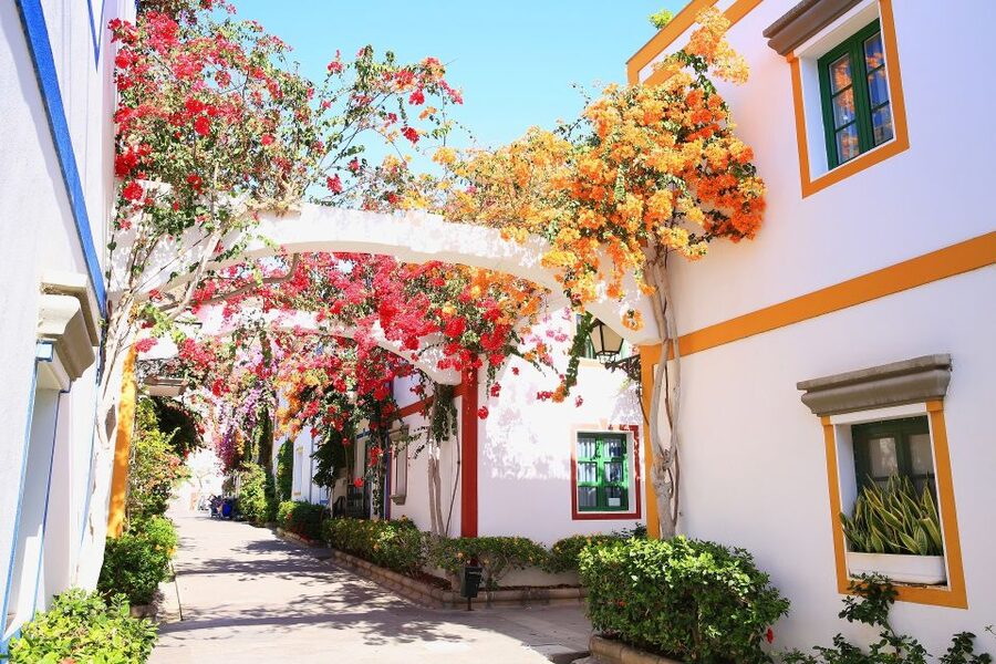 Gran Canaria: Full-Day Island Sightseeing Coach Tour - What the coach ride is really like