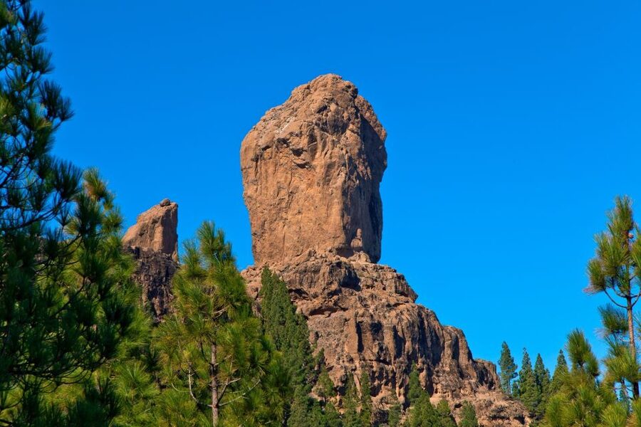 Gran Canaria: Full-Day VIP Tour by Bus - Key points to know before booking