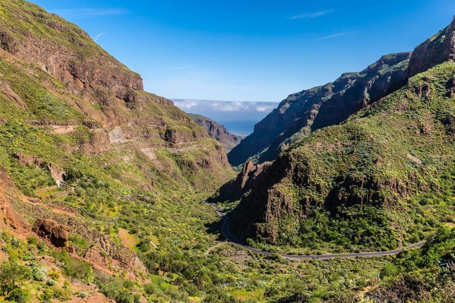 Gran Canaria: Full-Day VIP Tour by Bus - Aloe vera with a hands-on demonstration