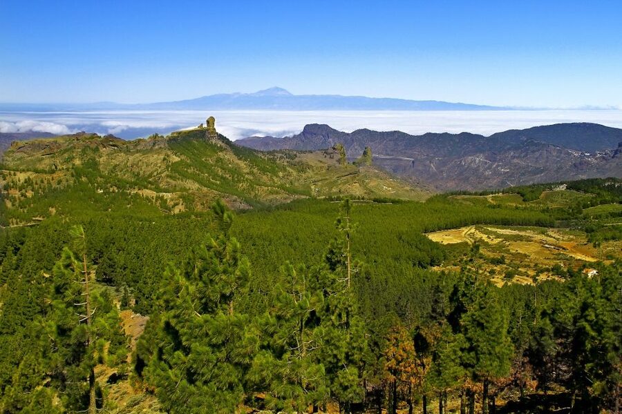 Gran Canaria: Full-Day VIP Tour by Bus - Firgas and Gran Canaria’s northern character
