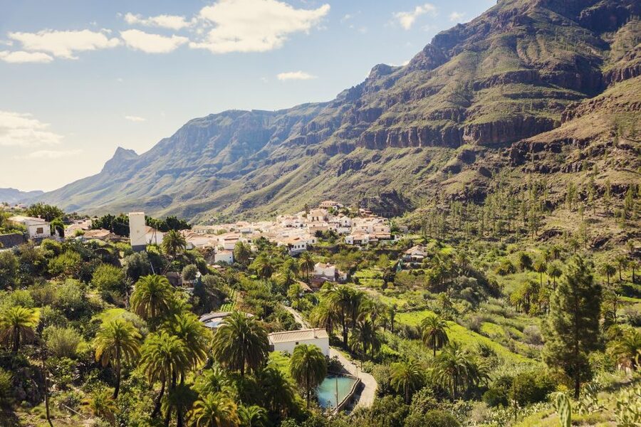 Gran Canaria: Full-Day VIP Tour by Bus - The high country, Roque Nublo, and mountain weather