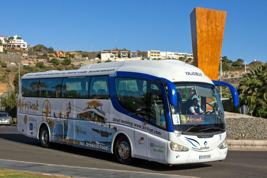 Gran Canaria: Fun Catamaran Cruise with Food and Drinks - Key points to know before booking