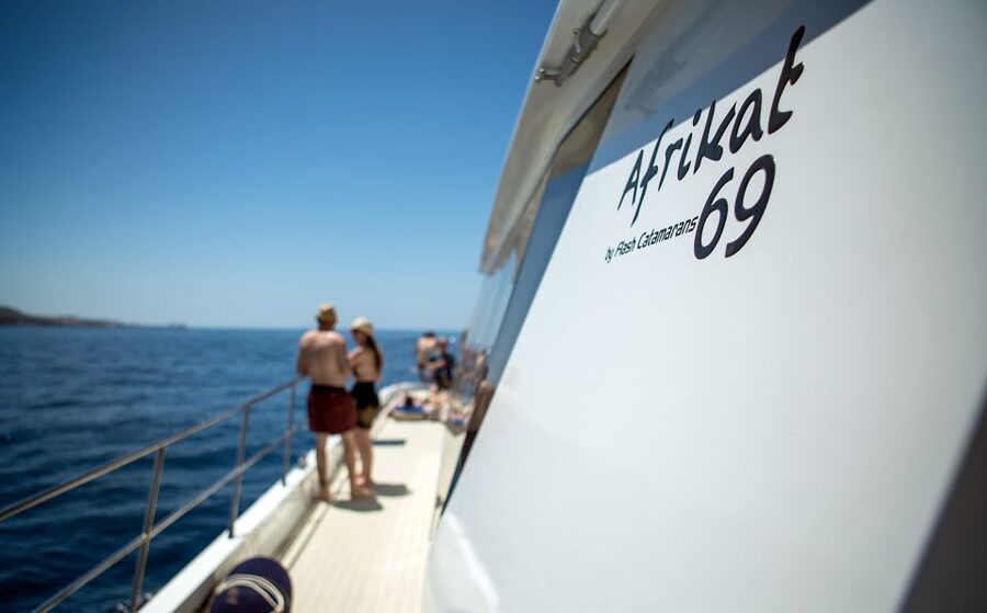 Gran Canaria: Fun Catamaran Cruise with Food and Drinks - Is $88 a fair price?