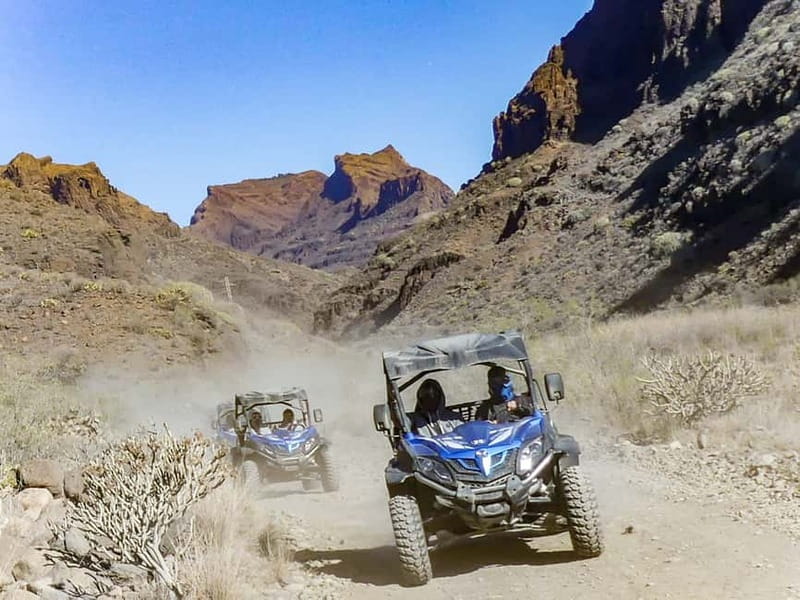 Gran Canaria Guided Buggy Tour - Is $85 a fair price?
