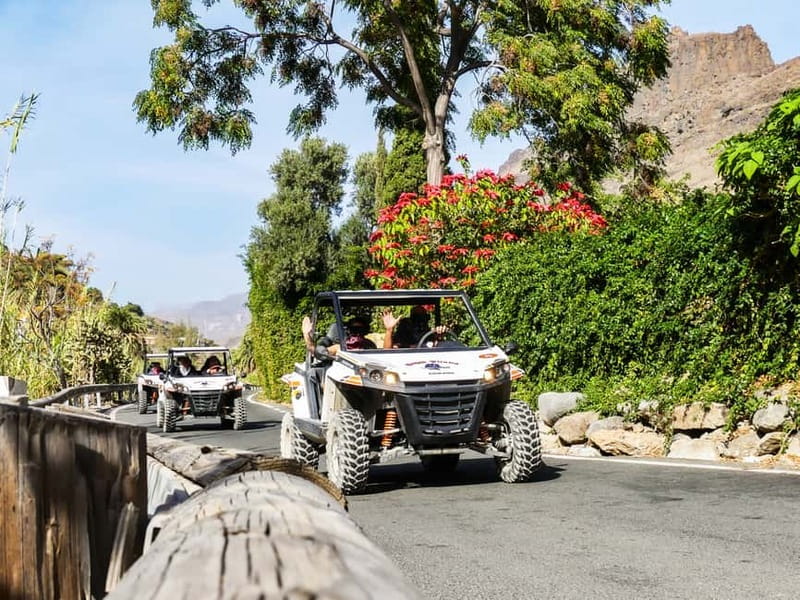 Gran Canaria Guided Buggy Tour - Villages, canyons, and the southern interior