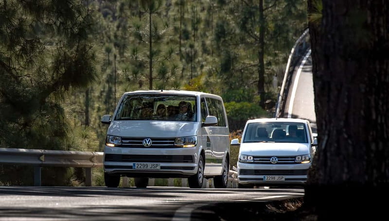 Gran Canaria: Rural Villages Guided Sightseeing Tour - Tejeda at high altitude