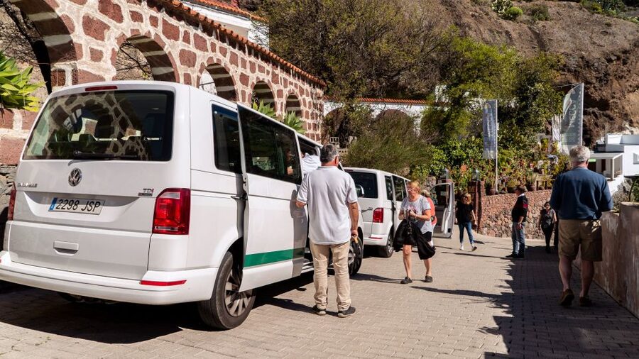 Gran Canaria: Rural Villages Guided Sightseeing Tour - Viewpoints, Fontanales, and the optional lunch