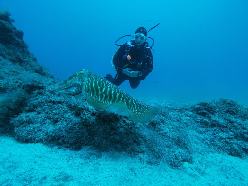 Gran Canaria: Try Scuba Diving for Beginners - How the instructors handle nerves