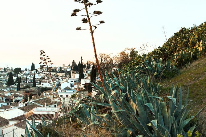 Granada: Albaicin and Sacromonte Private Tour - What the private format adds in 2.5 hours