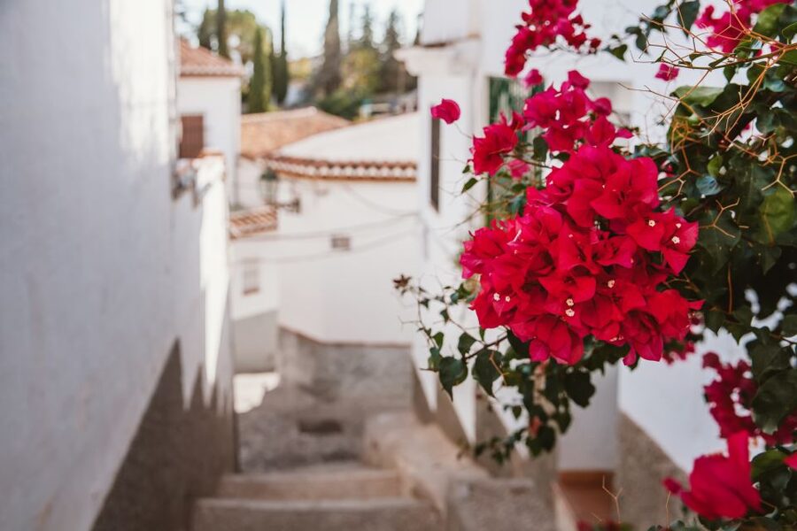 Granada: Albaicín and Sacromonte Walking Tour - The guides make the difference