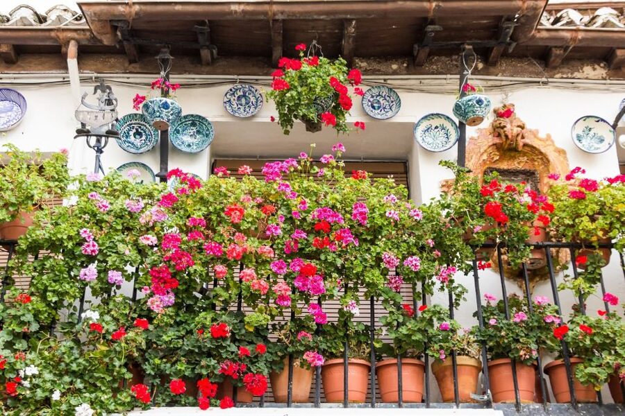 Granada: Albaicín and Sacromonte Walking Tour - Starting at Plaza Isabel la Católica