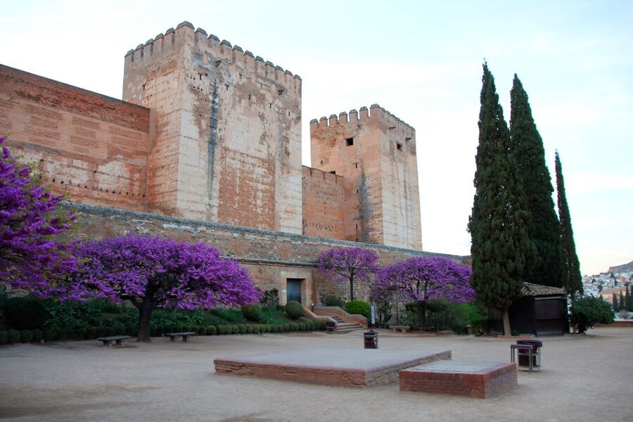 Granada: Alhambra and Charles V Palace Tour - Key points to know before booking