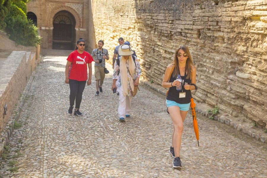 Granada: Alhambra Complex Guided Tour with Ticket - Is the $60 price fair?