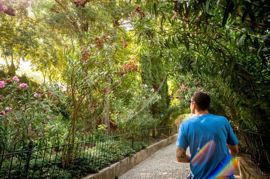 Granada: Alhambra Entry Ticket with Audio Guide - Is $66 a fair price?