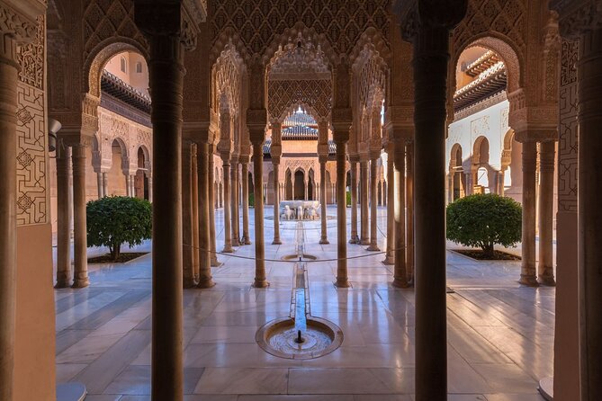 Granada: Alhambra Guided Tour including Nasrid Palaces - The Nasrid Palaces: The Main Event