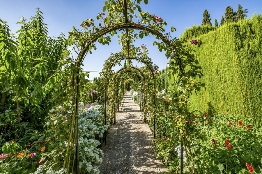 Granada: Alhambra, Nasrid, and Generalife Private Tour - What to bring and how to plan the day