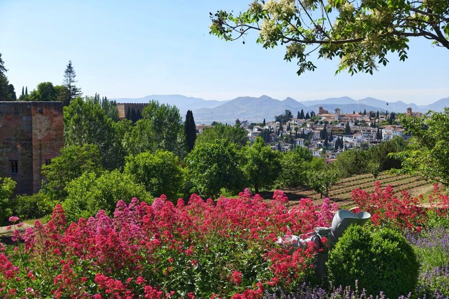 Granada: Alhambra Palace Guided Tour - Who should book this reduced visit