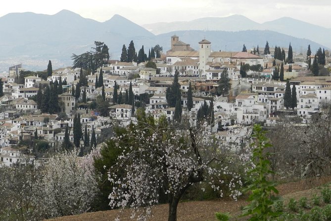 Granada Day Trip: Alhambra & Nazaries Palaces from Seville - What the $191.88 price really buys