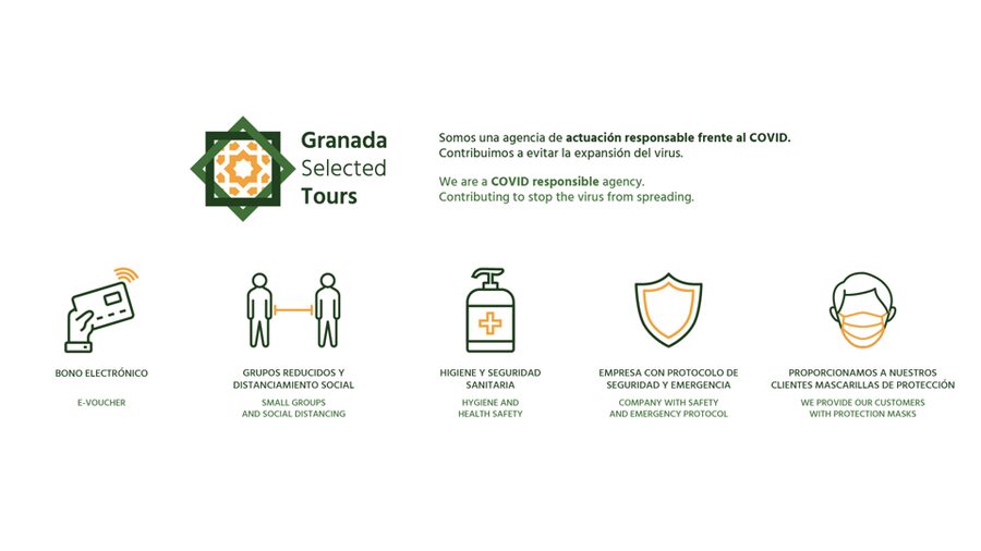 Granada: Fast-Track Alhambra & Nasrid Palaces Guided Tour - Entering the Nasrid Palaces and Courtyard of the Lions