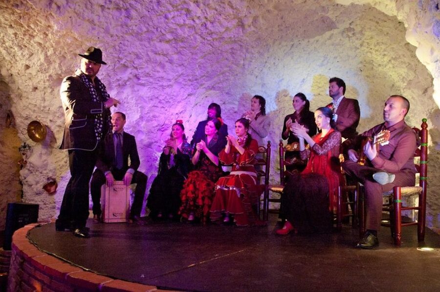 Granada: Flamenco Show at Templo del Flamenco with Drink - Who should book this experience?