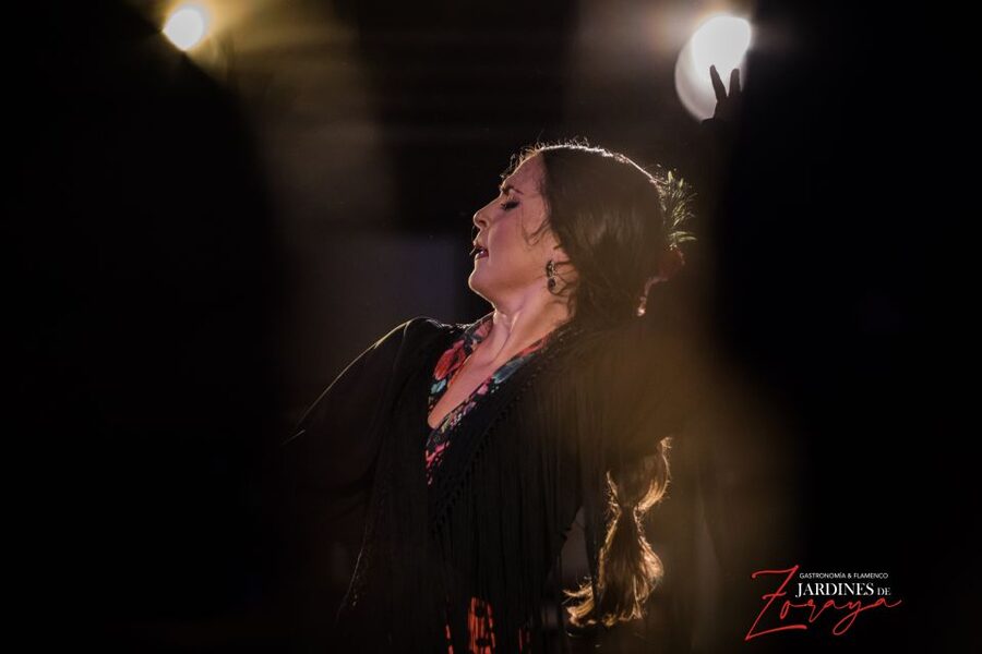 Granada: Flamenco Show in Albaycin - Jardines de Zoraya - Why the intimate room makes a difference