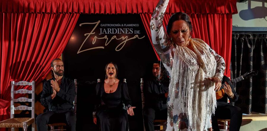Granada: Flamenco Show in Albaycin - Jardines de Zoraya - Small details that improve the evening
