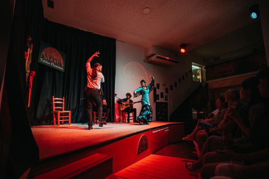 Granada: Flamenco Show in La Alboreá - Reserved seating and the best view