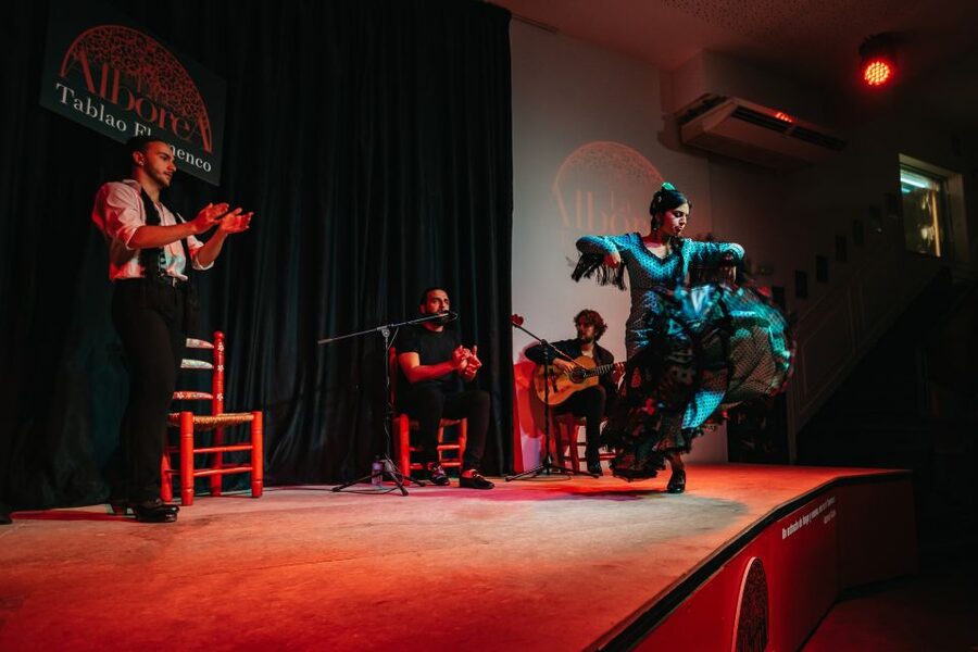 Granada: Flamenco Show in La Alboreá - Sound, lighting, and comfort