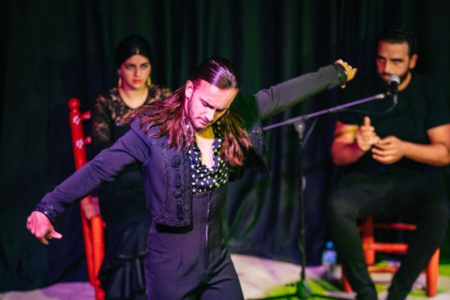 Granada: Flamenco Show in La Alboreá - Practical tips before you go
