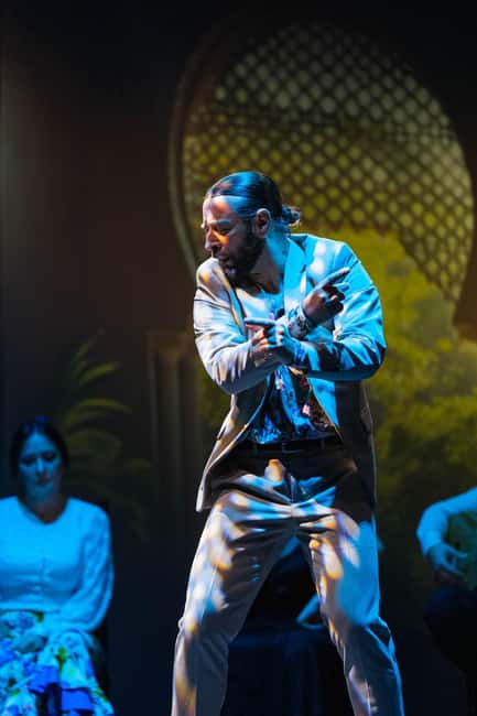 Granada: Flamenco Show "Sensaciones" at the Flamenco Theater Granada - Practical tips for getting the most from the show