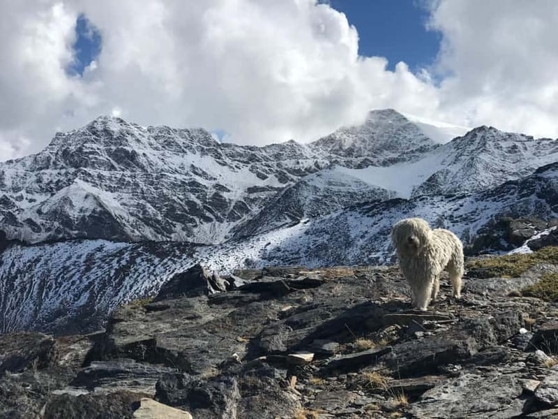 Granada: High Sierra Nevada Hiking Tour to 3000 Meters - Is the $50 price good value?