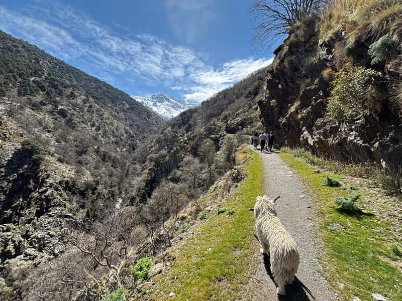 Granada: High Sierra Nevada Hiking Tour to 3000 Meters - A quiet route away from the busy ski center