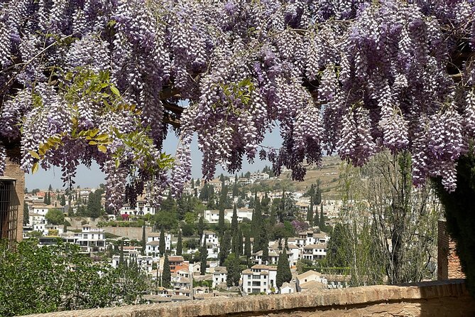 Granada : Private Alhambra Tour + Nazaries Palaces (VIP) - Generalife gardens: 90 minutes of calm and views