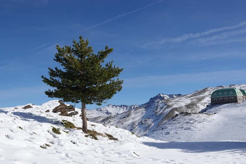 Granada: Sierra Nevada Safari Tour to 2500 m with a Drink - A panoramic drink at the mountain hut