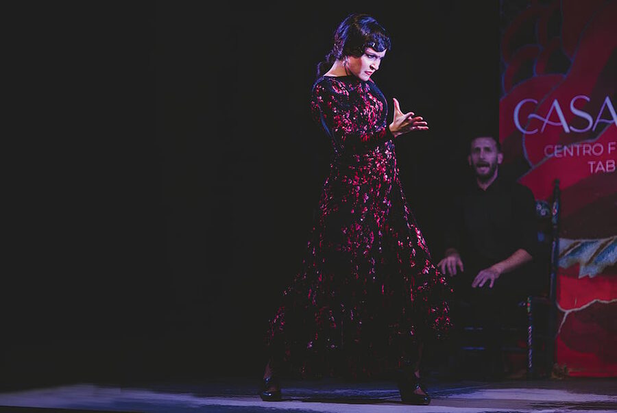Granada: Traditional Flamenco Show at Tablao Casa Ana - Who Will Enjoy Casa Ana Most?