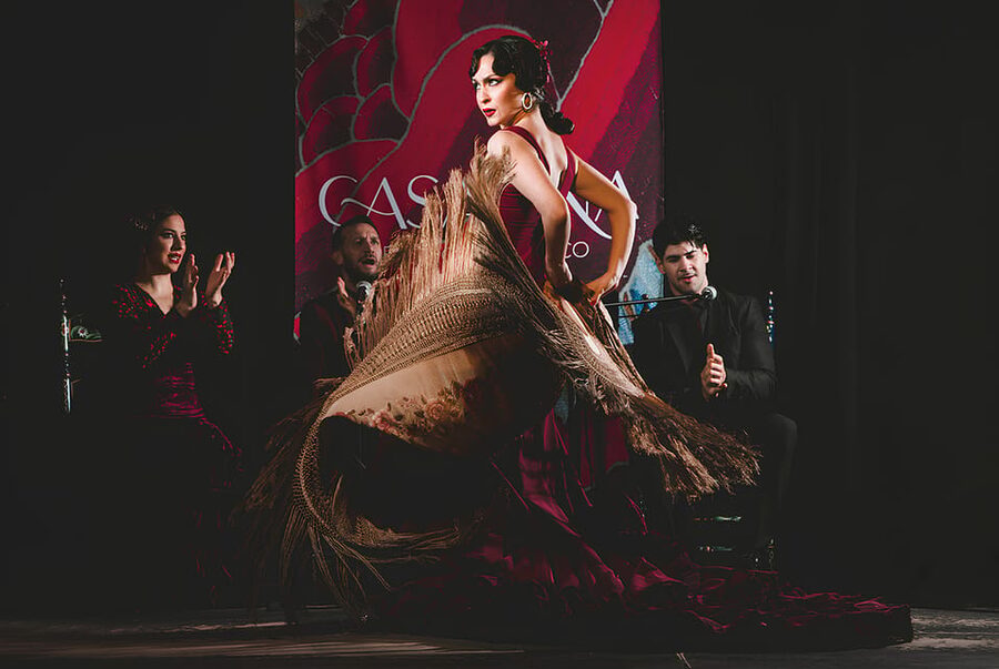 Granada: Traditional Flamenco Show at Tablao Casa Ana - What the One-Hour Performance Includes