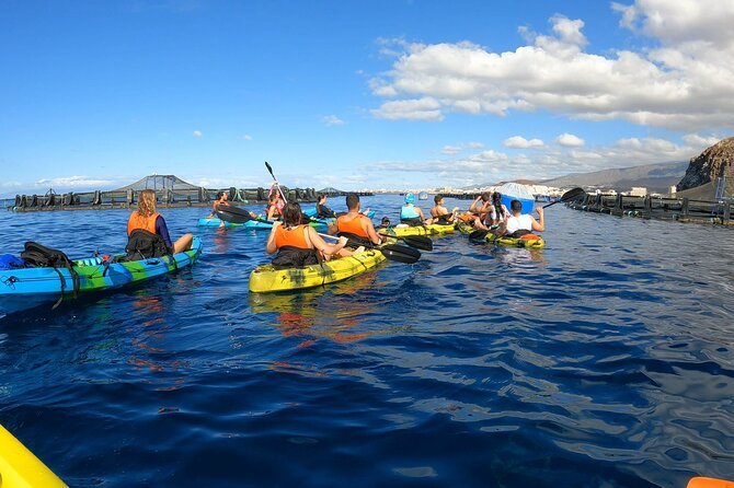 Guided Kayak Tour From Los Cristianos Beach Tenerife - Starting at Los Cristianos Beach