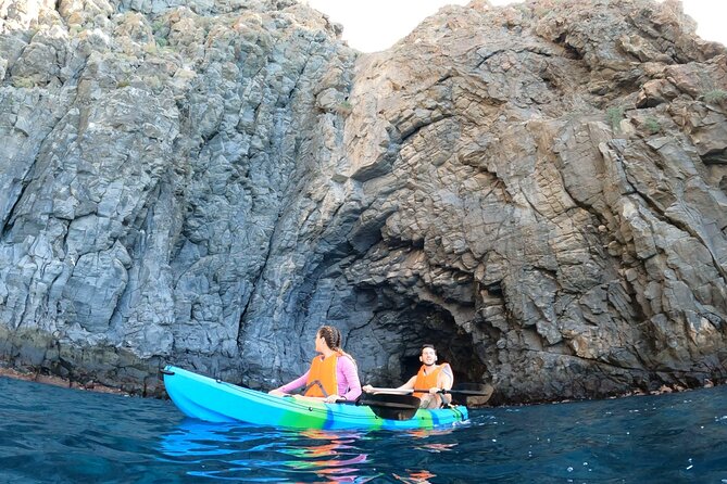 Guided Kayak Tour From Los Cristianos Beach Tenerife - Searching for dolphins and turtles