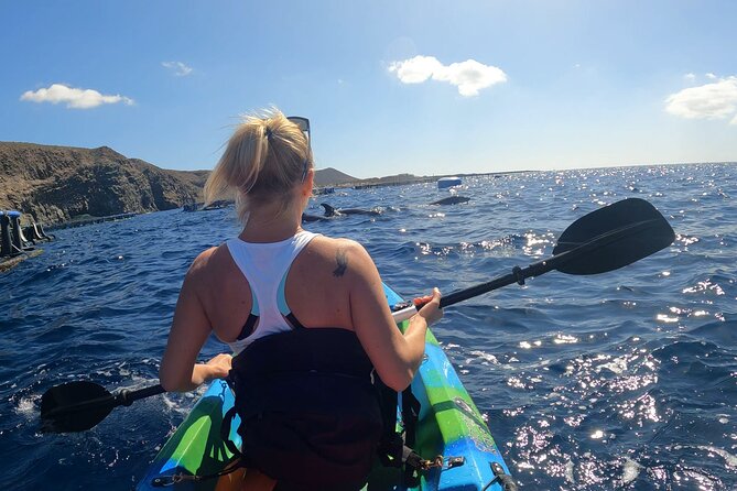 Guided Kayak Tour From Los Cristianos Beach Tenerife - Is $54.44 a fair price?