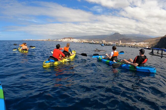 Guided Kayak Tour From Los Cristianos Beach Tenerife - Timing, weather, and cancellations