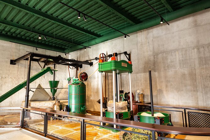 Guided tour and olive oil tasting in Alhaurin el Grande (Málaga) - Seeing a centennial mill at work