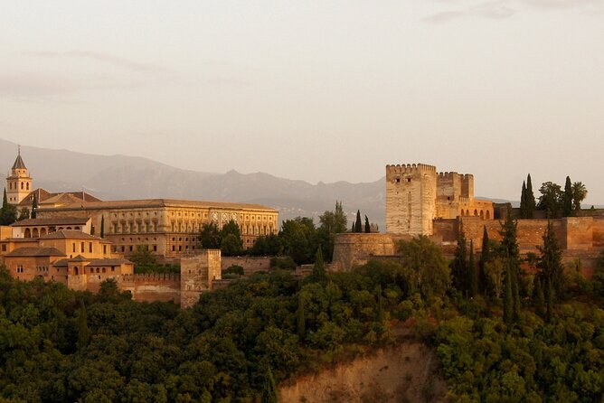 Guided tour of Alhambra and Generalife with Nasrid Palaces - Meeting point, transport, and timing