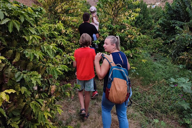 Guided Tour to the only coffee farm in Europe - Sustainable farming and closing the farm circle
