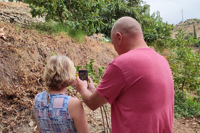 Guided Tour to the only coffee farm in Europe - Timing, meeting points, and getting there