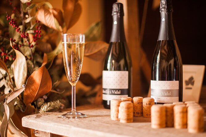 High-End Vineyard Escape: Cava, Tapas & Wine | Private Tour - Should you book it?