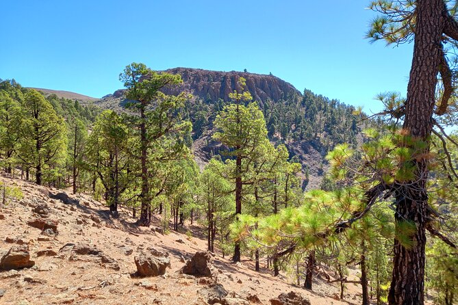 Hiking in Tenerife's Great Outdoors - Andy’s guiding style and local knowledge