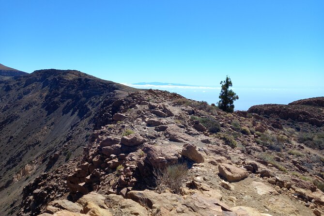 Hiking in Tenerife's Great Outdoors - Picture stops, picnic time, and the five-hour schedule