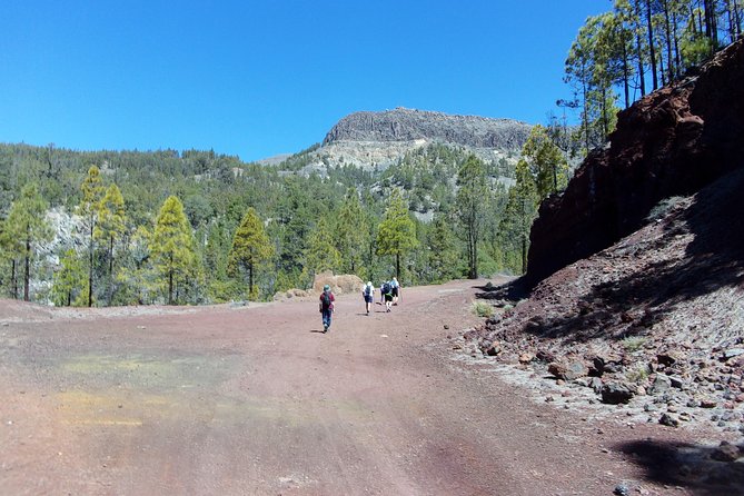 Hiking in Tenerife's Great Outdoors - Why the small group and private transport matter