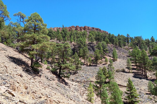 Hiking in Tenerife's Great Outdoors - Who should book this Tenerife hike?