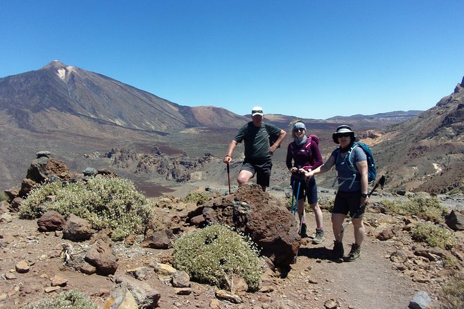 Hiking in Tenerife's Great Outdoors - The route can include a real mountain challenge